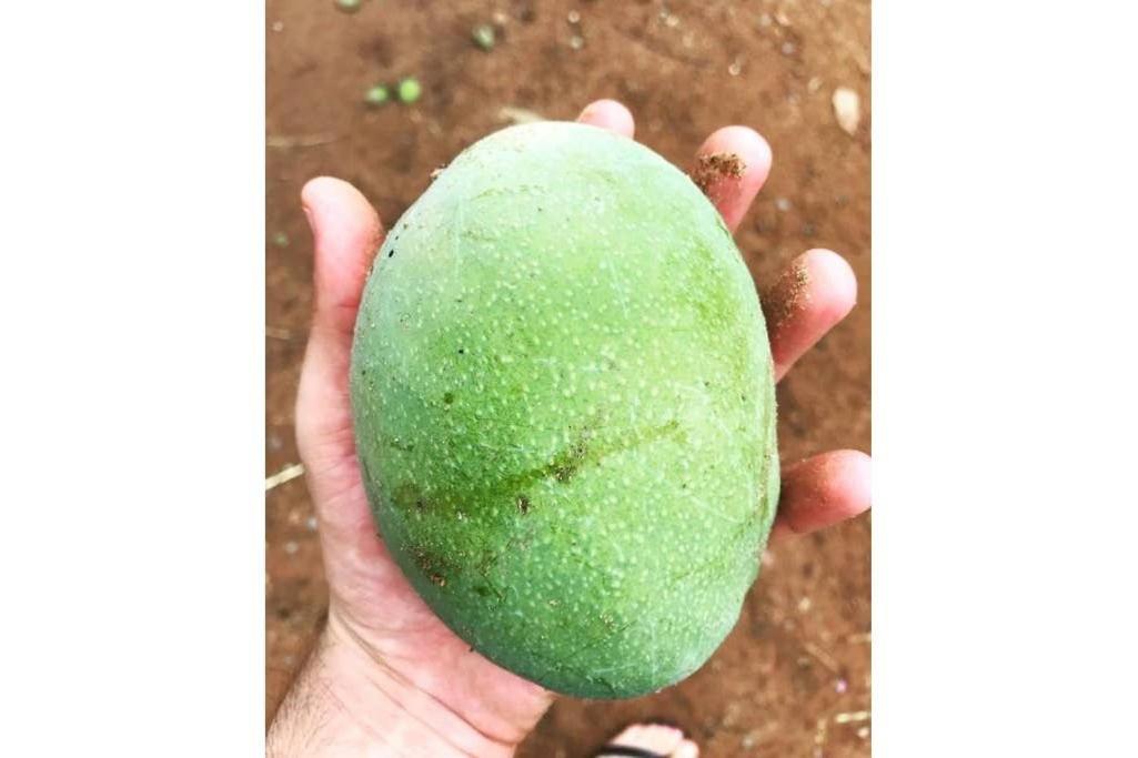 Condominio Shambala Piri Pirenópolis المظهر الخارجي الصورة